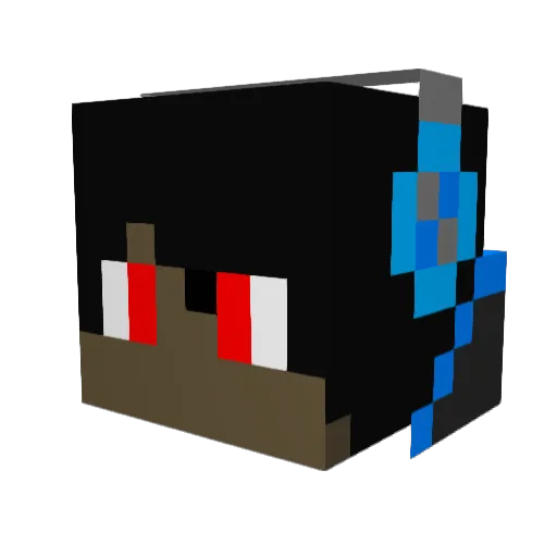 Seelowe123 Minecraft avatar head, 3D render