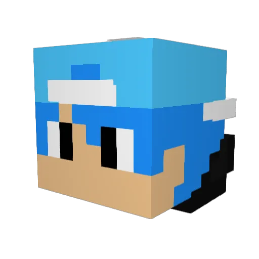 Seen555 Minecraft avatar head, 3D render