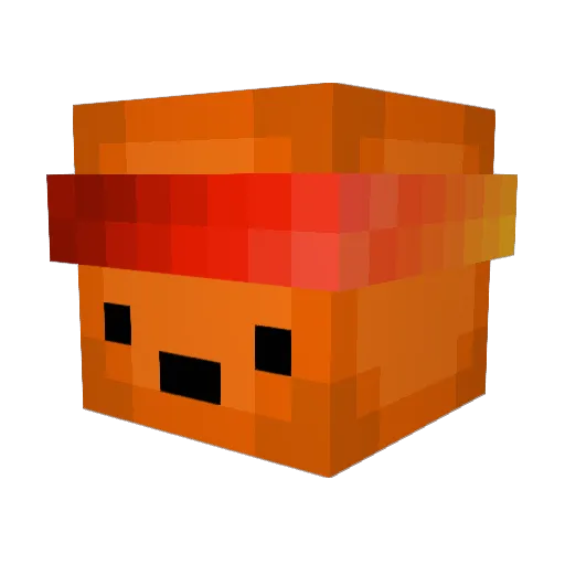 Seeotter_ Minecraft avatar head, 3D render