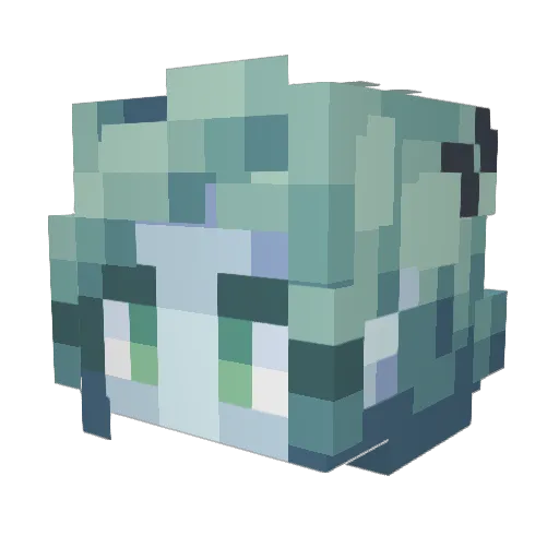 Seer_Clara Minecraft avatar head, 3D render
