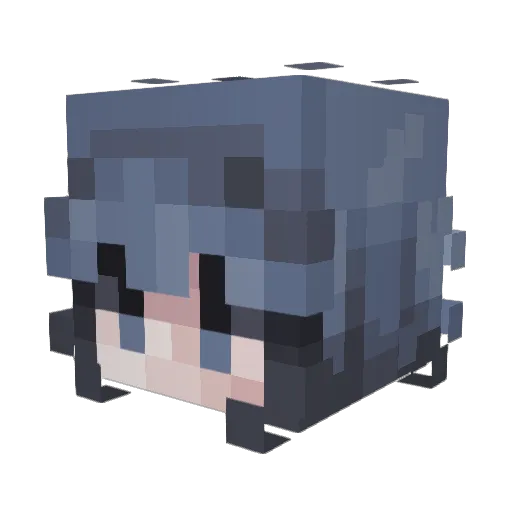 Seerain_ Minecraft avatar head, 3D render