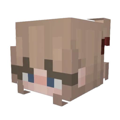 Seercat Minecraft avatar head, 3D render