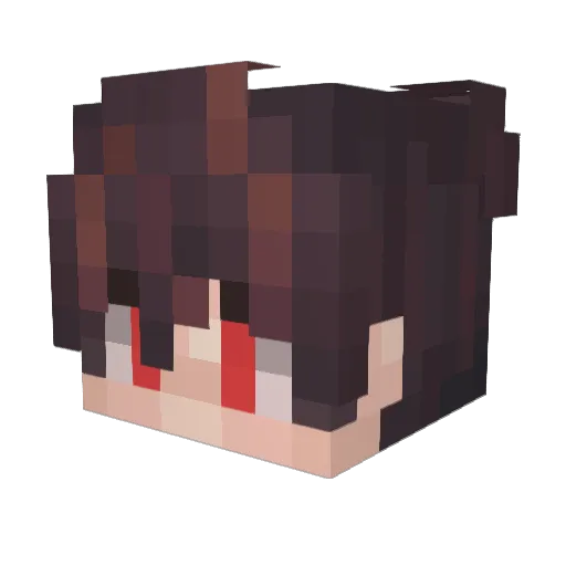 Seergi Minecraft avatar head, 3D render
