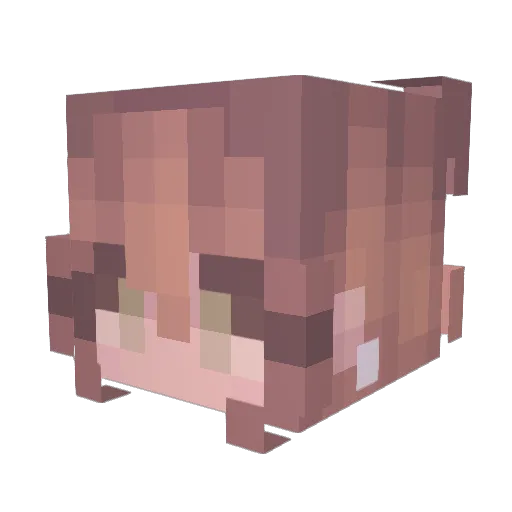 Seersha_ Minecraft avatar head, 3D render