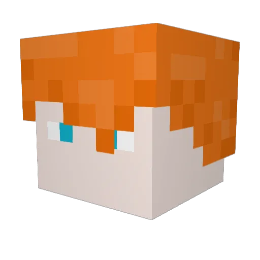 Sef241 Minecraft avatar head, 3D render