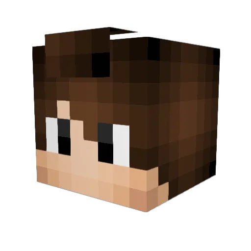Sefa50 Minecraft avatar head, 3D render