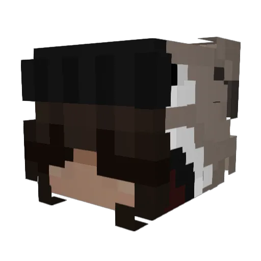 Seffa Minecraft avatar head, 3D render