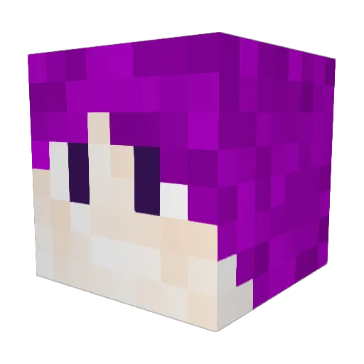 SefryGamer Minecraft avatar head, 3D render