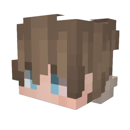 SegHor Minecraft avatar head, 3D render