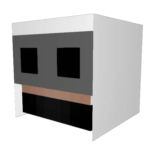 Segaman_Feed Minecraft avatar head, 3D render