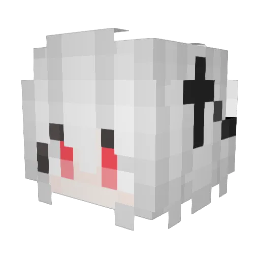 Segewinne Minecraft avatar head, 3D render