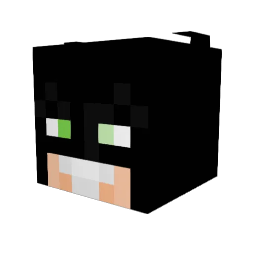 SeggsyMau Minecraft avatar head, 3D render