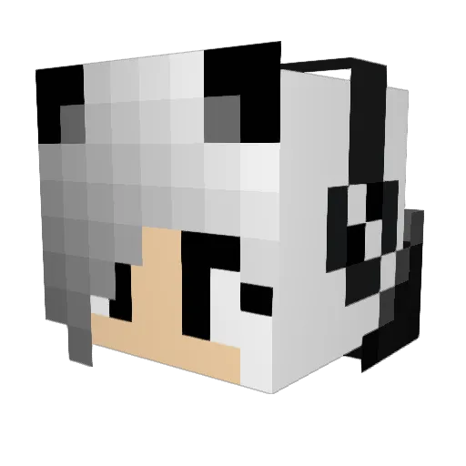 Segidik Minecraft avatar head, 3D render