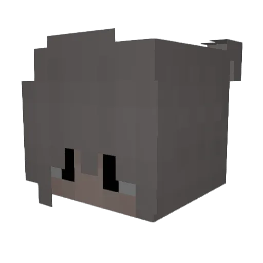 Segnung Minecraft avatar head, 3D render