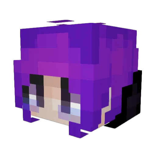 Sehbastian Minecraft avatar head, 3D render