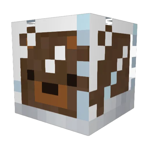Sehean Minecraft avatar head, 3D render