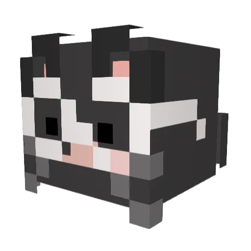 Sehes_ Minecraft avatar head, 3D render