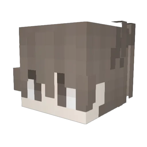Sehiqu Minecraft avatar head, 3D render