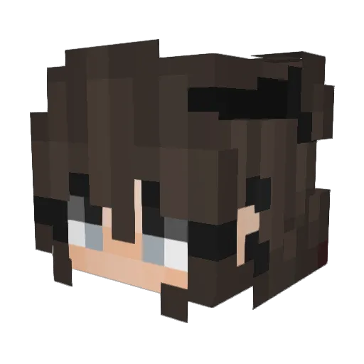 Seianx Minecraft avatar head, 3D render