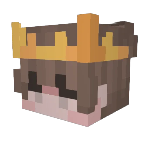 Seiao227 Minecraft avatar head, 3D render