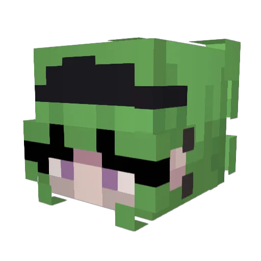 Seiber_sp Minecraft avatar head, 3D render