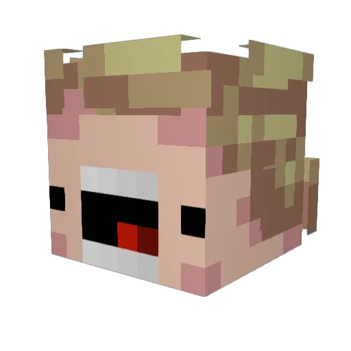 SeidNada Minecraft avatar head, 3D render