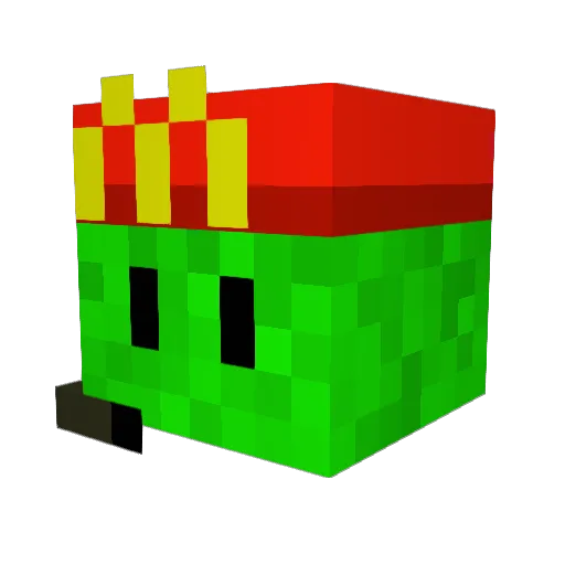 Seidfan Minecraft avatar head, 3D render