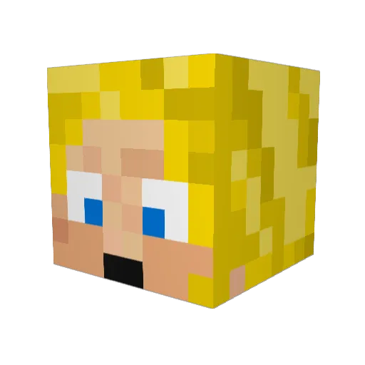 Seidler Minecraft avatar head, 3D render