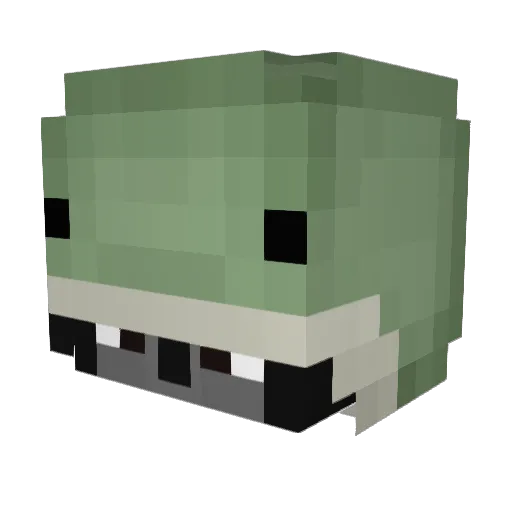 Seifenblase Minecraft avatar head, 3D render
