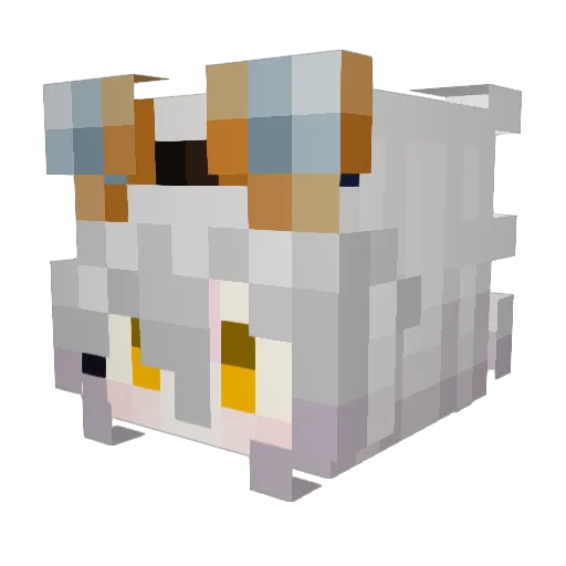 Seifnect Minecraft avatar head, 3D render