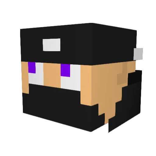 Seijnzih Minecraft avatar head, 3D render