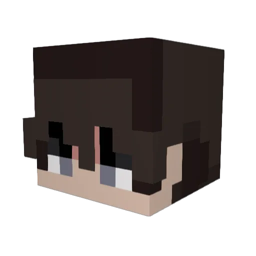 Seiku104 Minecraft avatar head, 3D render