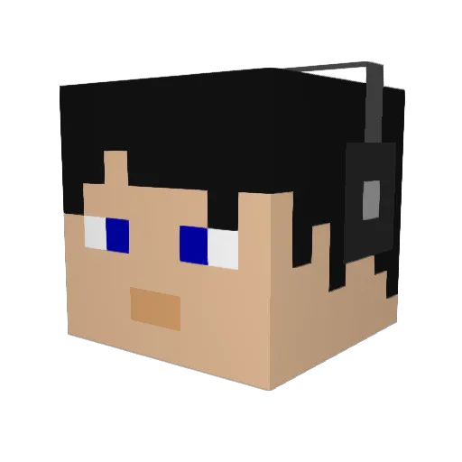 Seilaerion Minecraft avatar head, 3D render