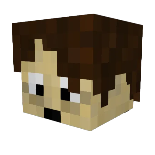 Seilaoque2007 Minecraft avatar head, 3D render