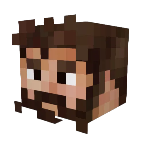 Seilein Minecraft avatar head, 3D render