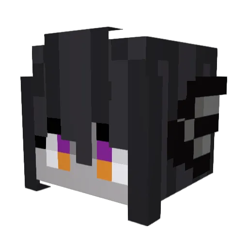 Seillum Minecraft avatar head, 3D render