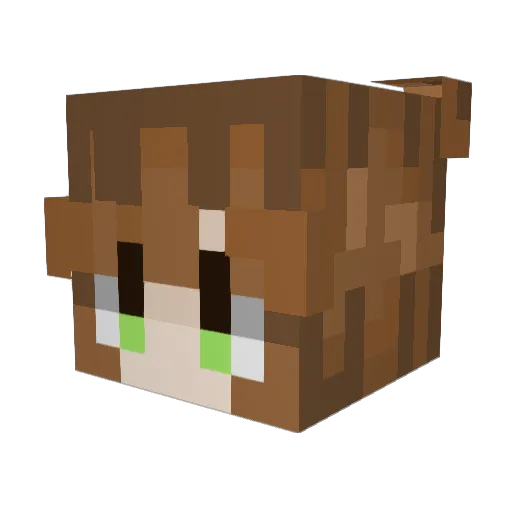 Seimonhae Minecraft avatar head, 3D render