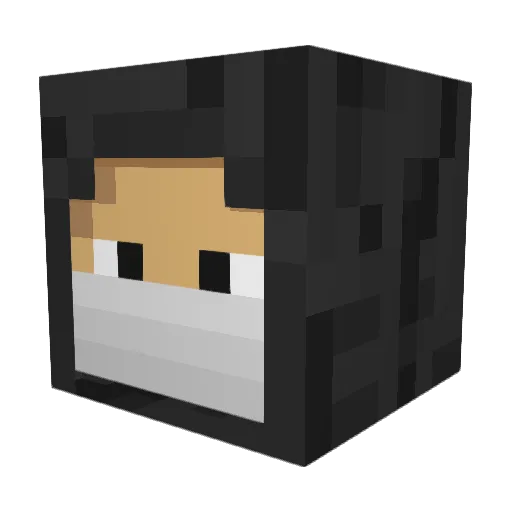 SeinFI Minecraft avatar head, 3D render