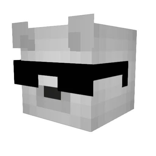 Seinnus Minecraft avatar head, 3D render