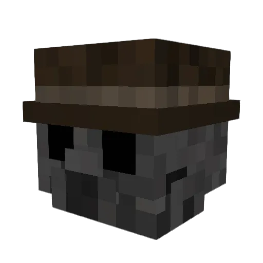 Seippxl Minecraft avatar head, 3D render