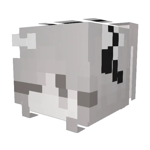 Seirei0 Minecraft avatar head, 3D render