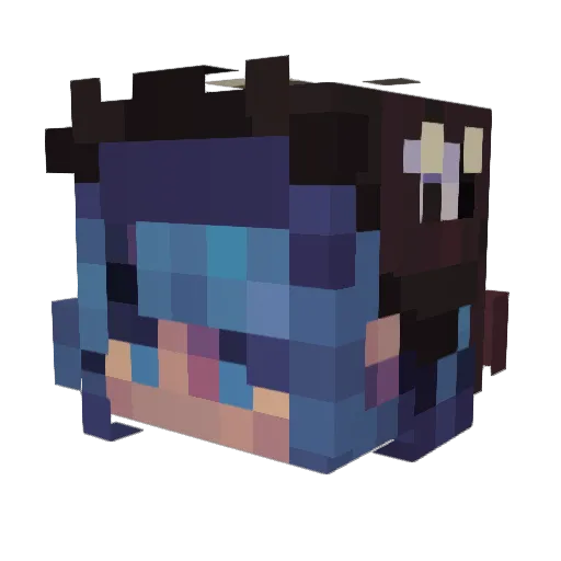 Seirioss Minecraft avatar head, 3D render