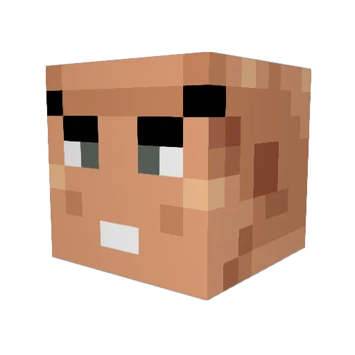 Seitibtw Minecraft avatar head, 3D render