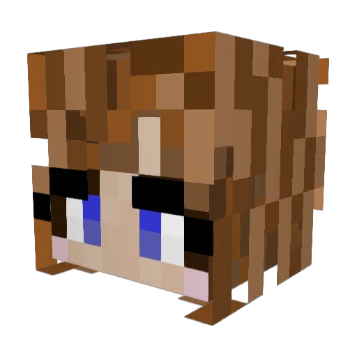 Seized_Sky Minecraft avatar head, 3D render