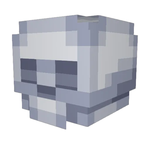 Seizer__ Minecraft avatar head, 3D render