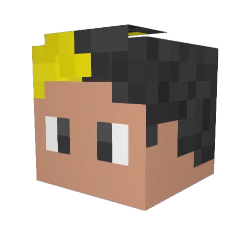 Sejam_Korteman Minecraft avatar head, 3D render