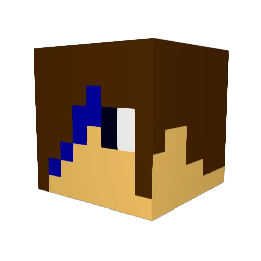 SejeRasmus123 Minecraft avatar head, 3D render