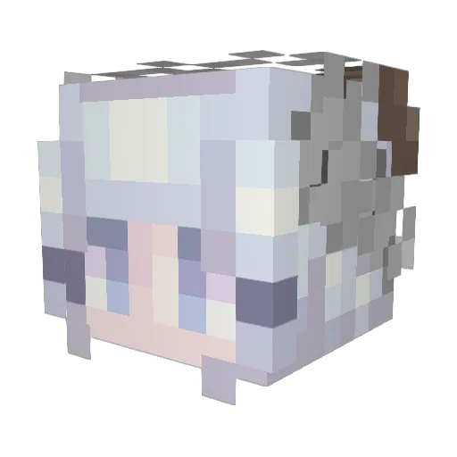 Sekainoroi Minecraft avatar head, 3D render