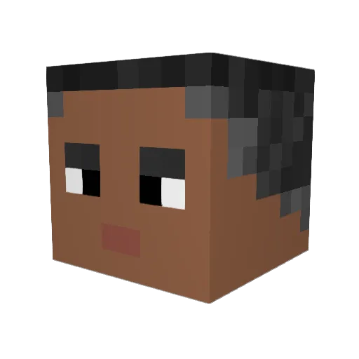 Sekitaa Minecraft avatar head, 3D render