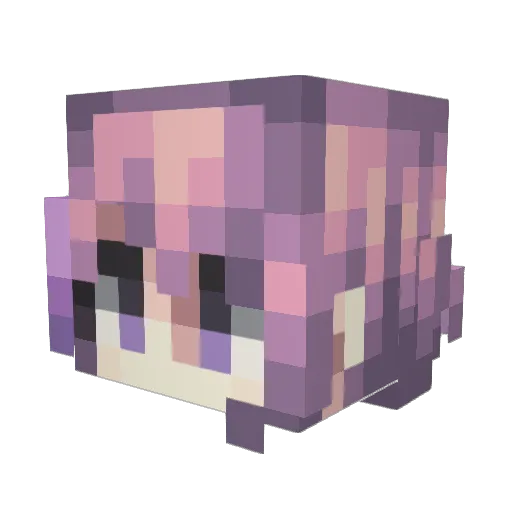 Sekkeneki Minecraft avatar head, 3D render